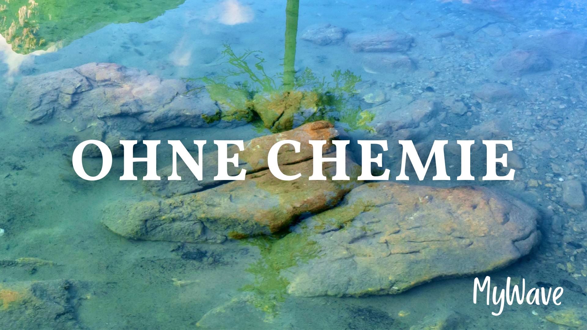 holzpfeifen weed pipe weed pipes graspfeife kaufen