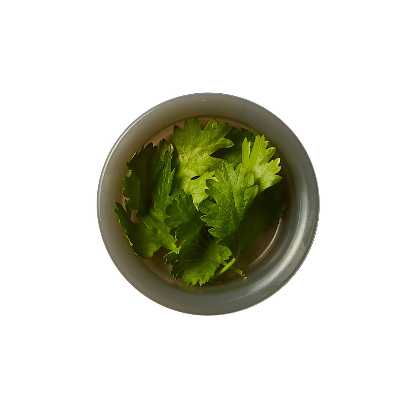 Lunchbox | 1l